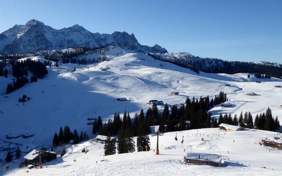 Salzburger Saalachtal: Größe der Skigebiete – Größe Almenwelt Lofer