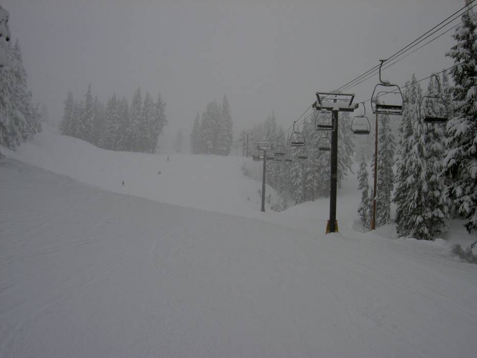 Bilder Timberline - Fotos Timberline