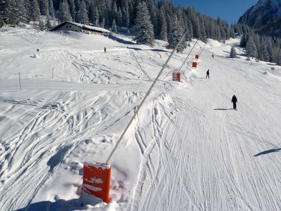 Skigebiet Ehrwalder Alm Ehrwald Skifahren Ehrwalder Alm Ehrwald