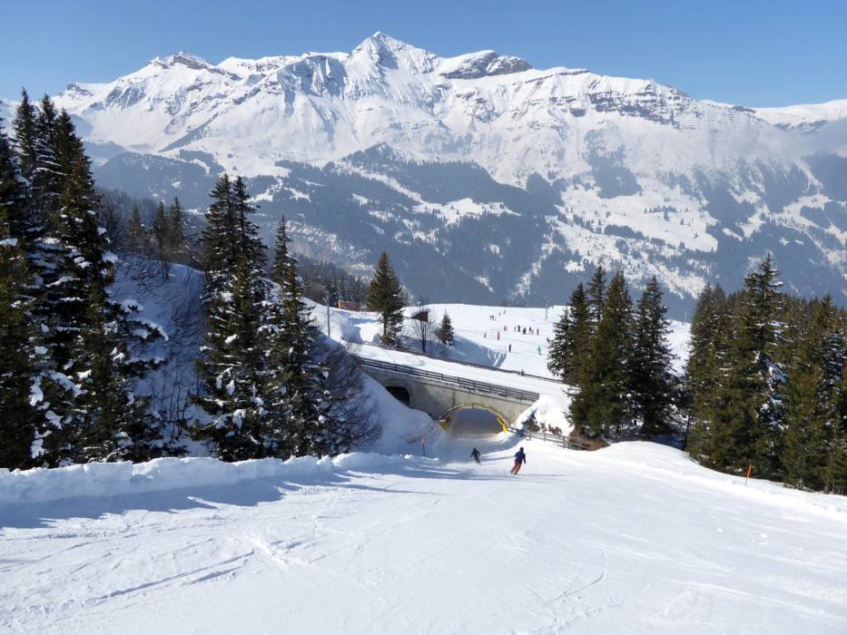 Skigebiet Kleine Scheidegg/Männlichen Grindelwald/Wengen