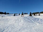 Leichte Panoramapiste