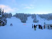 Blick auf die Pisten am Mt. Morrisey