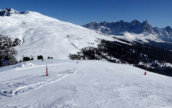 Skifahren in Ronchi