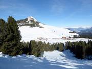 Buckelpiste mit Blick zum Weißhorn