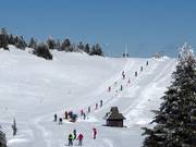 Vučak 2 - Seillift/Babylift mit niederer Seilführung