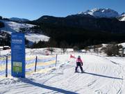 Tipp für die Kleinen  - Kids Run