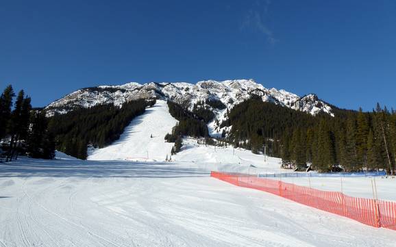 Größtes Skigebiet in der Sawback Range – Skigebiet Mt. Norquay – Banff