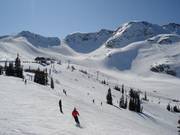 Die Pisten am Whistler Mountain