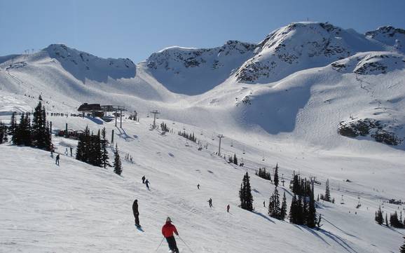 Größtes Skigebiet in den Coast Mountains – Skigebiet Whistler Blackcomb