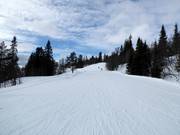 Leichte Piste Hangurs