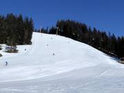 Piste Großberg/Michaela-Kirchgasser-FIS-Strecke