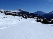 Leichte Piste Incisa beim Passo Campolongo