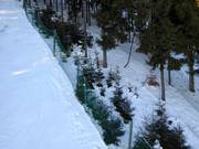 Aufforstungsgebiete dürfen nicht befahren werden