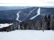Blick auf die Pisten am Zwieselberg