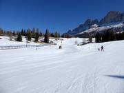 Leichte Piste Nr. 43 Golf