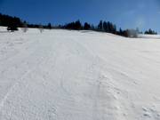 Freeride Hang zwischen Kapellenlift und Scheuermattlift