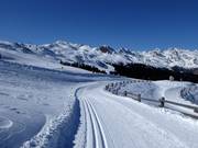 Höhenloipe Platschjoch