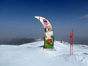 Tipp für die Kleinen  - Cauchiles Fun Trail