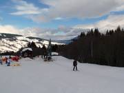 TK du Cabochon - Tellerlift