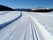 Höhenloipe am Rollepass