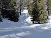 Höhenloipe Schlickeralm: Gefälle und Steigungen