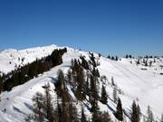 Gabelung Kogelalmabfahrt und Richtung Höchalmrinne
