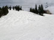 Buckelpiste am Aspen Mountain