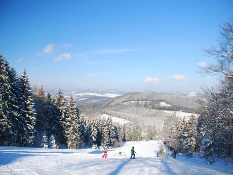 Olpe: Umweltfreundlichkeit der Skigebiete – Umweltfreundlichkeit Hohe Bracht – Lennestadt