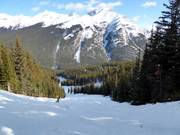 Buckelpiste Bruno's Gully