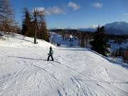 Leichte Piste Schneiderkogel