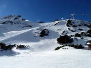Freier Skiraum unterhalb des Grubigsteins