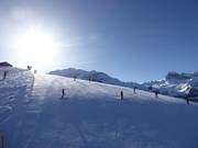 Morgenstimmung am Metschstand in Lenk