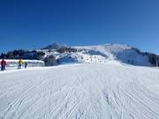 Blick auf die Pisten am Croix de la Chaux (Gryon)