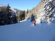 Talabfahrt Silbertal