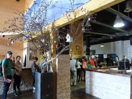 Nordrhein-Westfalen: Testberichte von Skigebieten – Testbericht Bottrop (alpincenter)