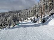 Ganz leichte Piste für Anfänger