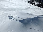 Schwarze Bergwiesenabfahrt