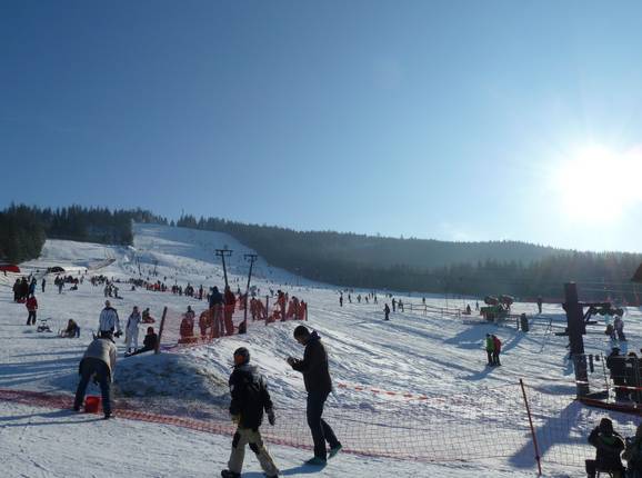 Ski- und Rodelvergnügen am Mehliskopf