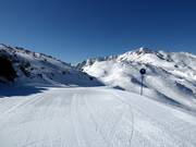 Leichte Piste Kratki plaz Nr. 8