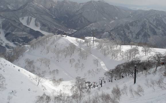 Skifahren auf Honshū