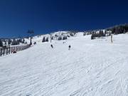 Piste Nr. 13c Gobelja