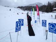 Red Mountain Carpet - Förderband