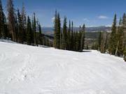 Typische Waldabfahrt in Winter Park