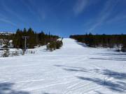 Leichte Abfahrt Dalen 2