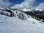 Blick über die Lizard Bowl