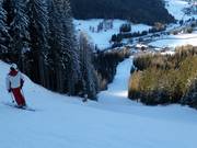 Holzriese 2 - die steilste Piste Italiens