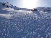Tiefschneespuren neben der FIS-Piste in Lenk