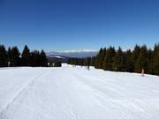 Leichte Piste Paut-Bus de la Nef Nr. 23b