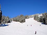 Abfahrten hinunter zum Sun Peaks Village