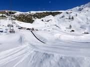 Wolli Anfängerpark Sunnegga